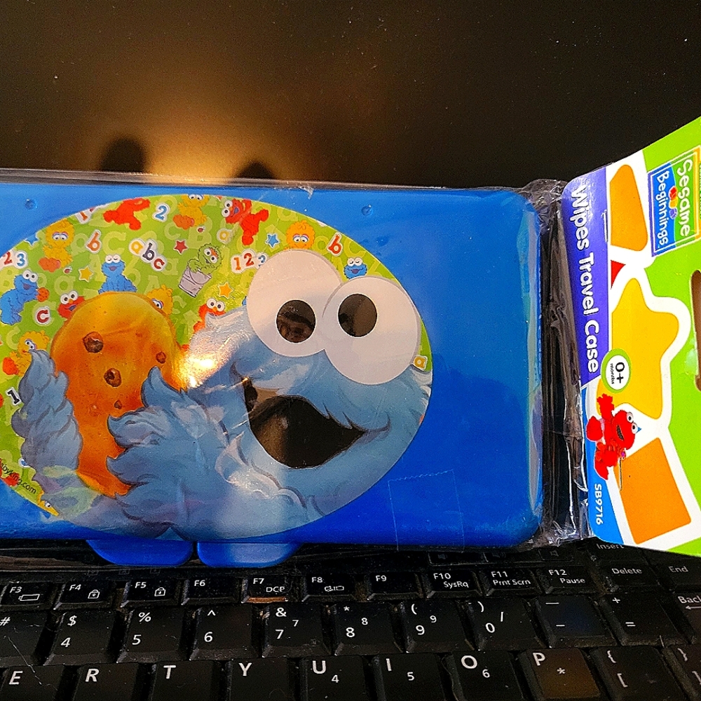 Wipes Travel Case